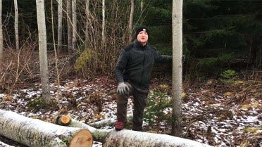 Une ferme suédoise : Comment prélever des arbres morts